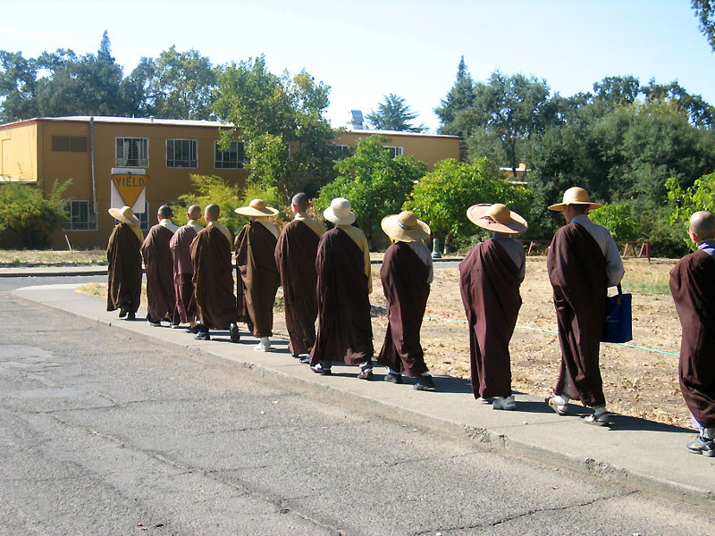 procession of nuns (mr 0132).jpg